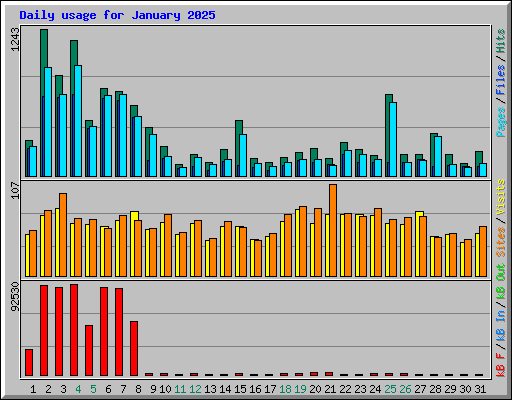 Daily usage for January 2025