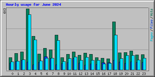 Hourly usage for June 2024