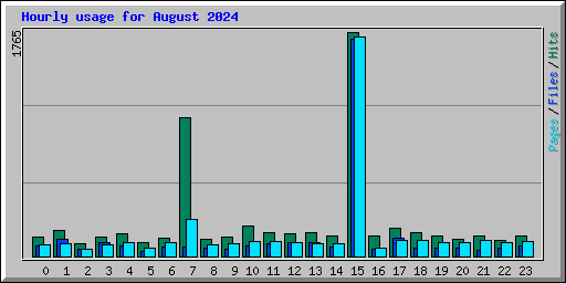 Hourly usage for August 2024