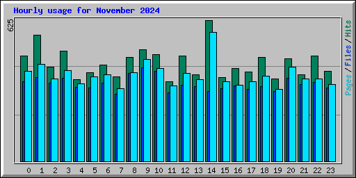 Hourly usage for November 2024