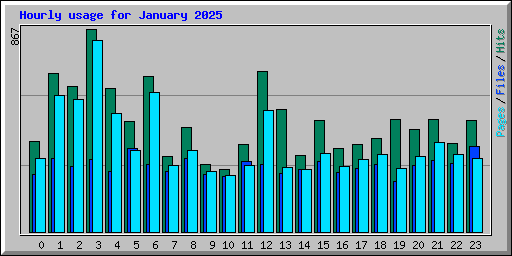 Hourly usage for January 2025