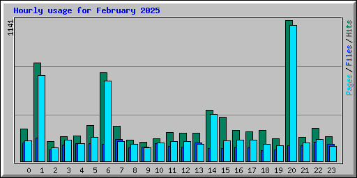 Hourly usage for February 2025