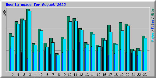 Hourly usage for August 2025