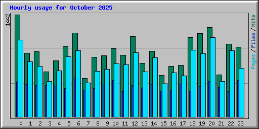Hourly usage for October 2025