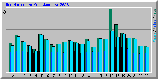 Hourly usage for January 2026