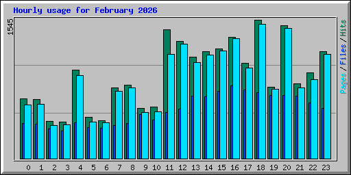 Hourly usage for February 2026