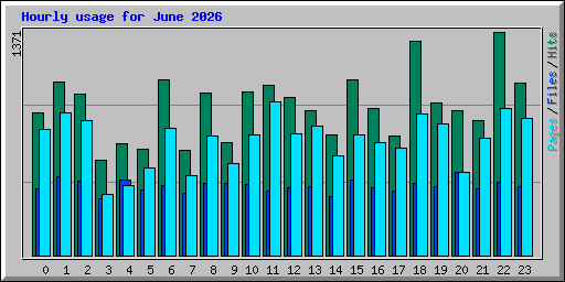 Hourly usage for June 2026