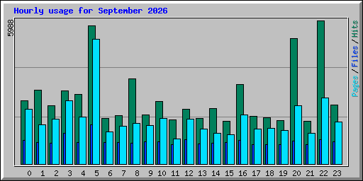 Hourly usage for September 2026