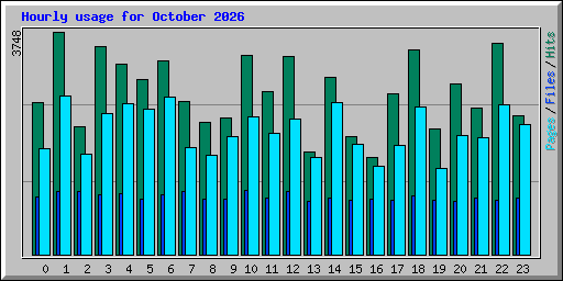 Hourly usage for October 2026