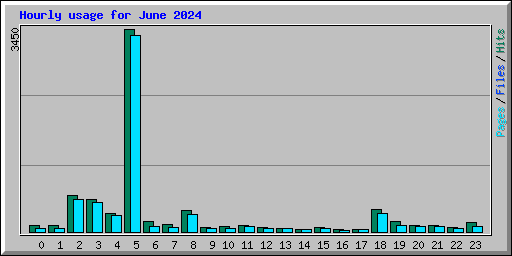 Hourly usage for June 2024