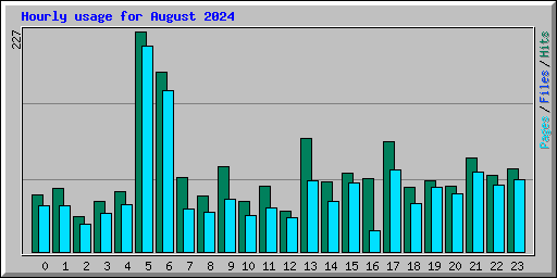 Hourly usage for August 2024