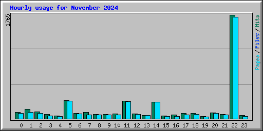 Hourly usage for November 2024