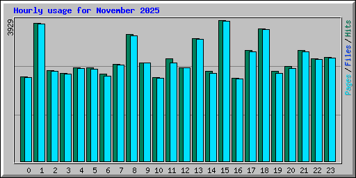 Hourly usage for November 2025
