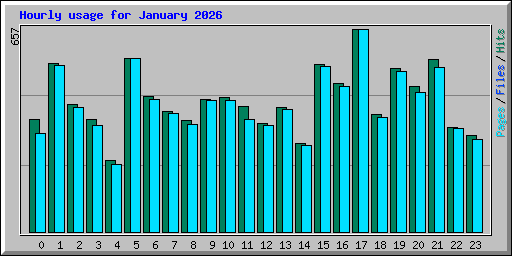 Hourly usage for January 2026