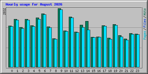 Hourly usage for August 2026